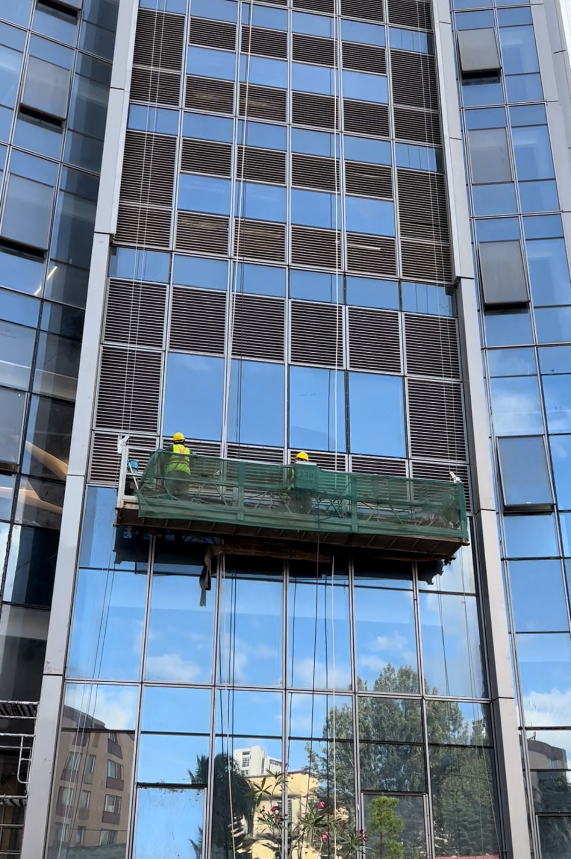 Specialized Cleaning Services